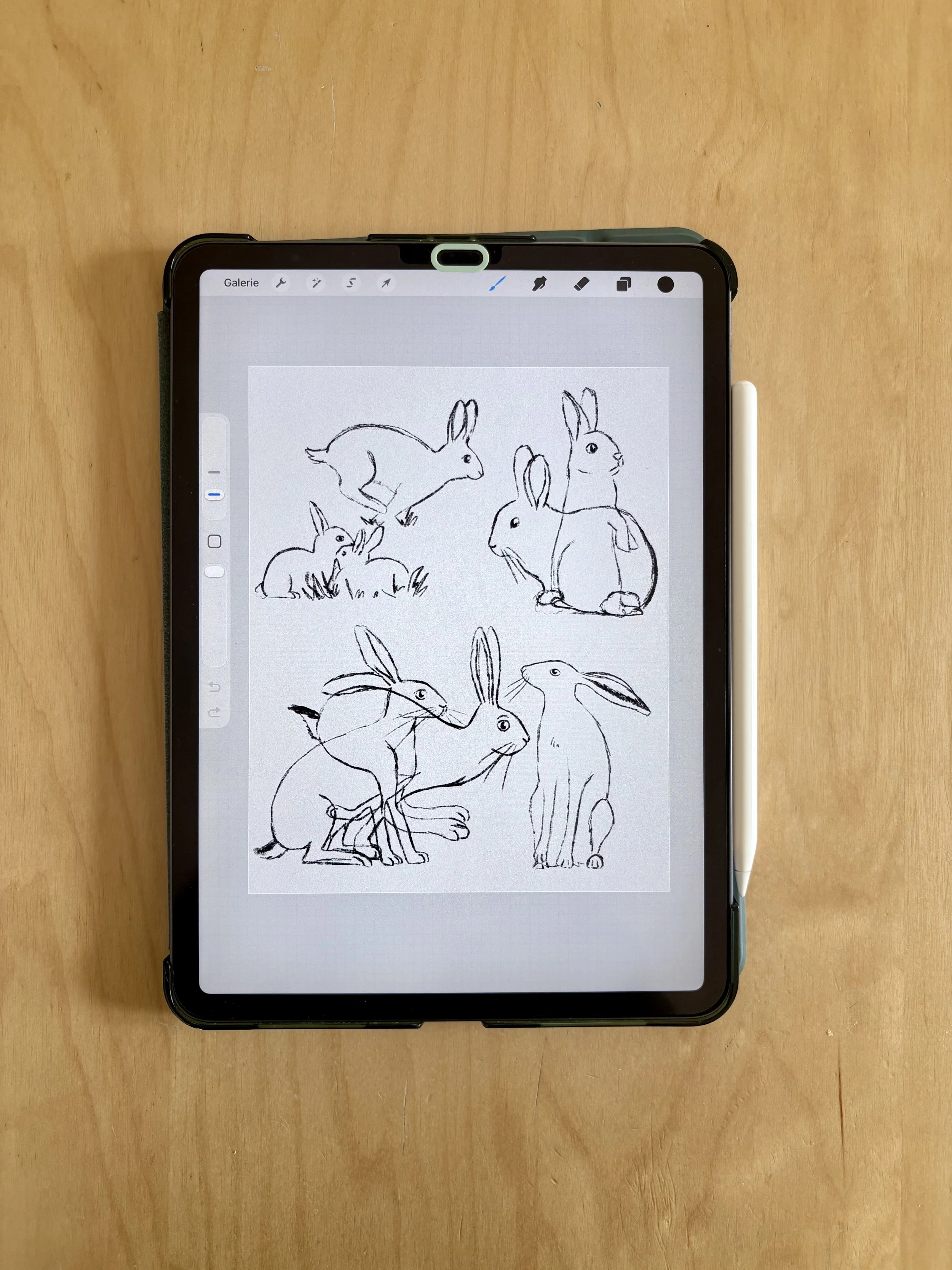 Sauras-tu reconnaître les animaux de la forêt croquis lapin lièvre Marion Monnier 