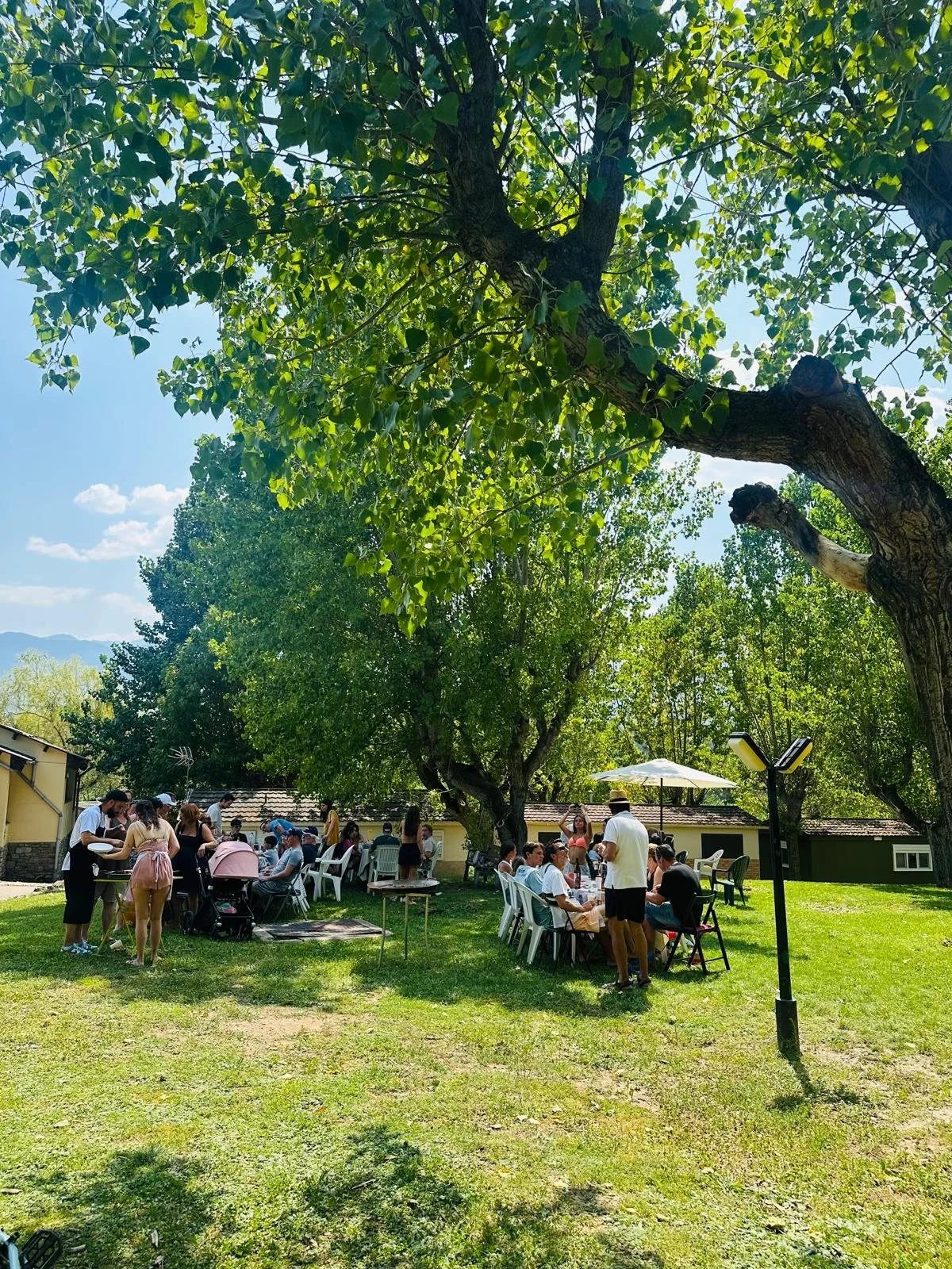 WhatsApp Image 2025-09-17 at 13.52.06.jpeg