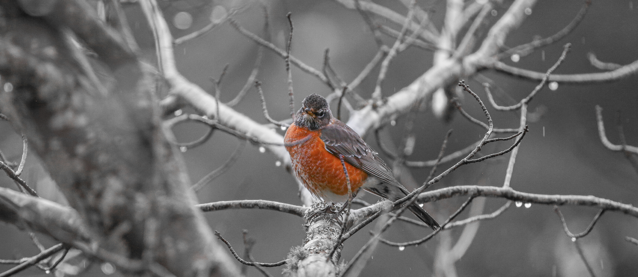 Screenshot 2024-04-02 at 10.07.41 PM.png