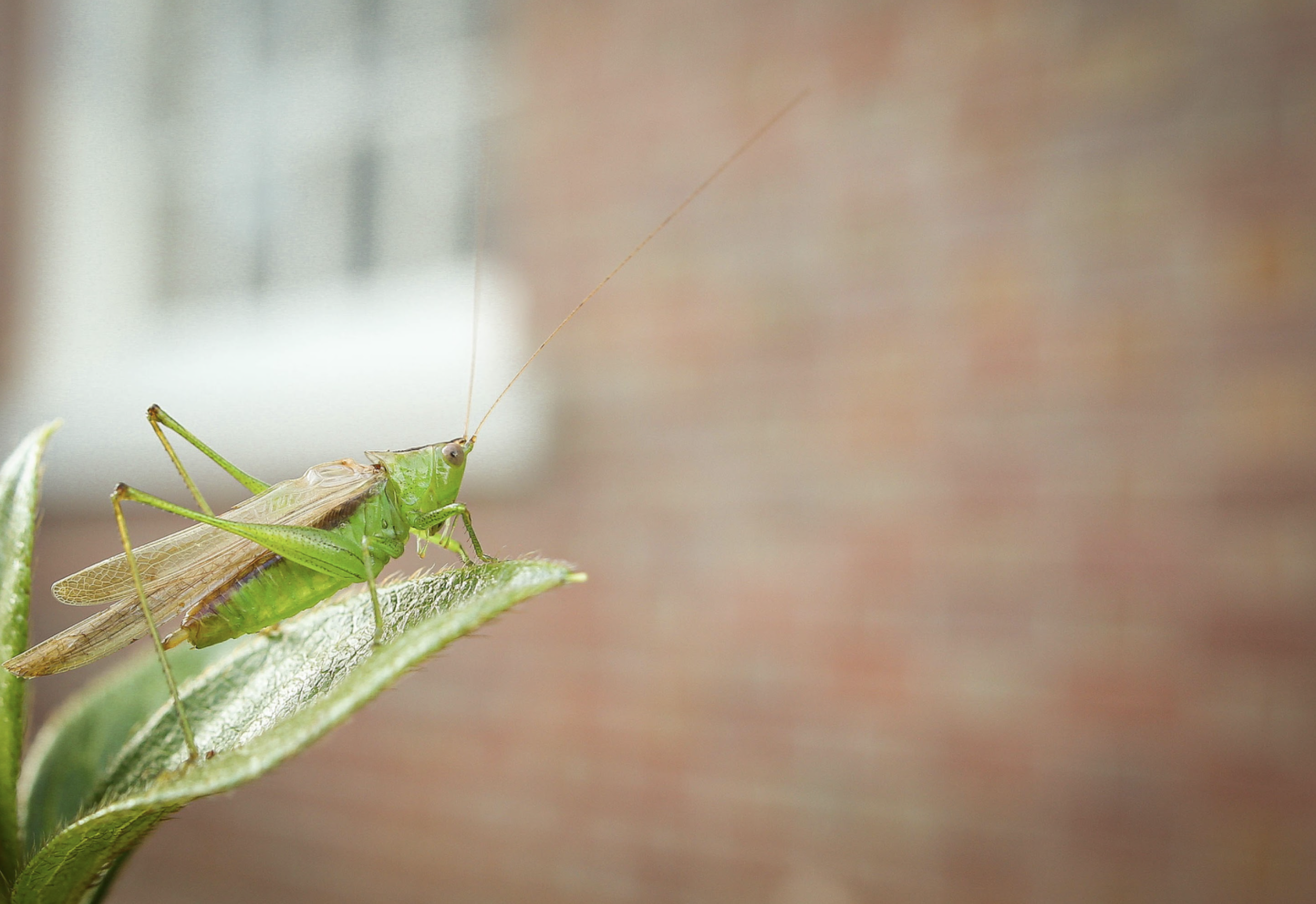 Screenshot 2024-08-08 at 2.15.10 PM.png