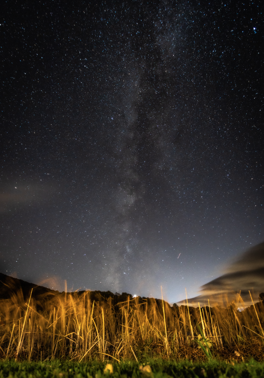 Screenshot 2024-04-02 at 10.01.09 PM.png