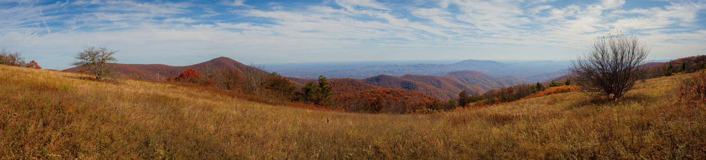 Screenshot 2024-04-02 at 9.04.23 PM.png