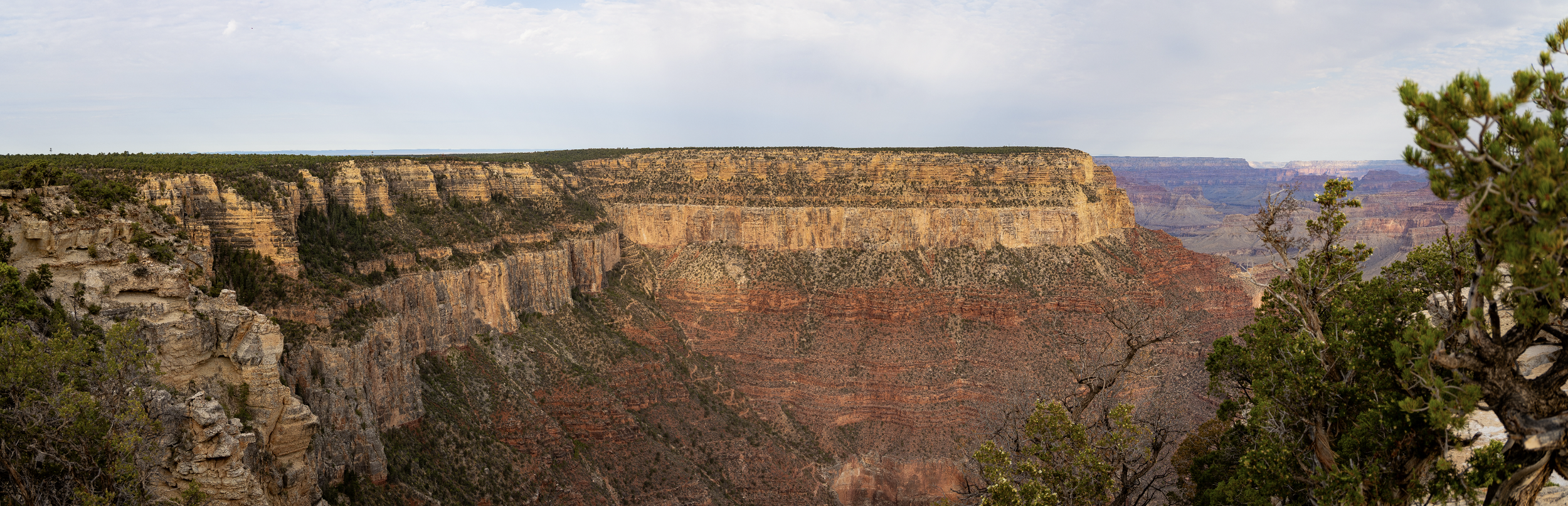 Screenshot 2026-08-12 at 10.00.20 PM.png