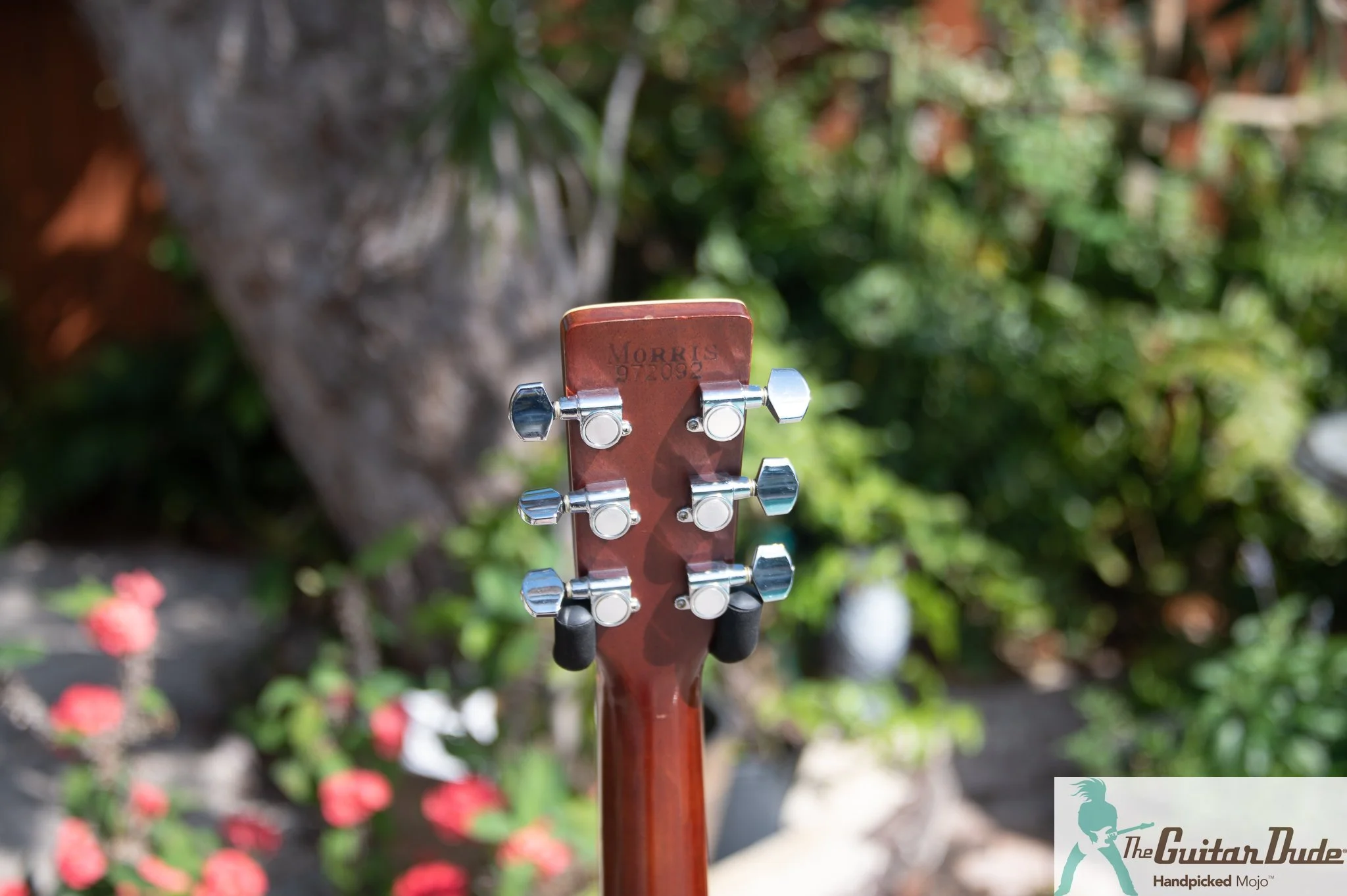 Acoustic Guitars — Shop — The Guitar Dude