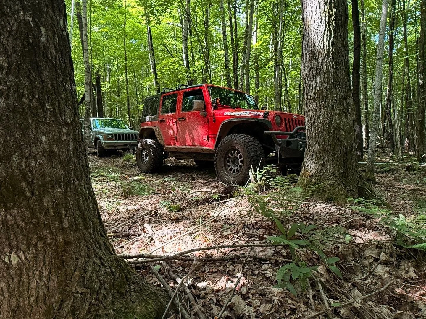 Thankfully, this morning is a lovely, sunny day with pretty moderate temperatures.  The side shot today, looking back at the off-road experience at Mole Lake, will have to be revisited!

🛠️ My Build ⚒️ 
2015 Jeep JKU 
💥 @ Open Road 1300 Winch 
💥 @