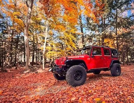 As we enjoy the blessings of the day and contemplate the shopping season. It&rsquo;s important to remember the following, except for Jeep Parts!

* Gratitude for people and relationships:&nbsp;Many thoughts focus on being thankful for friends and fam