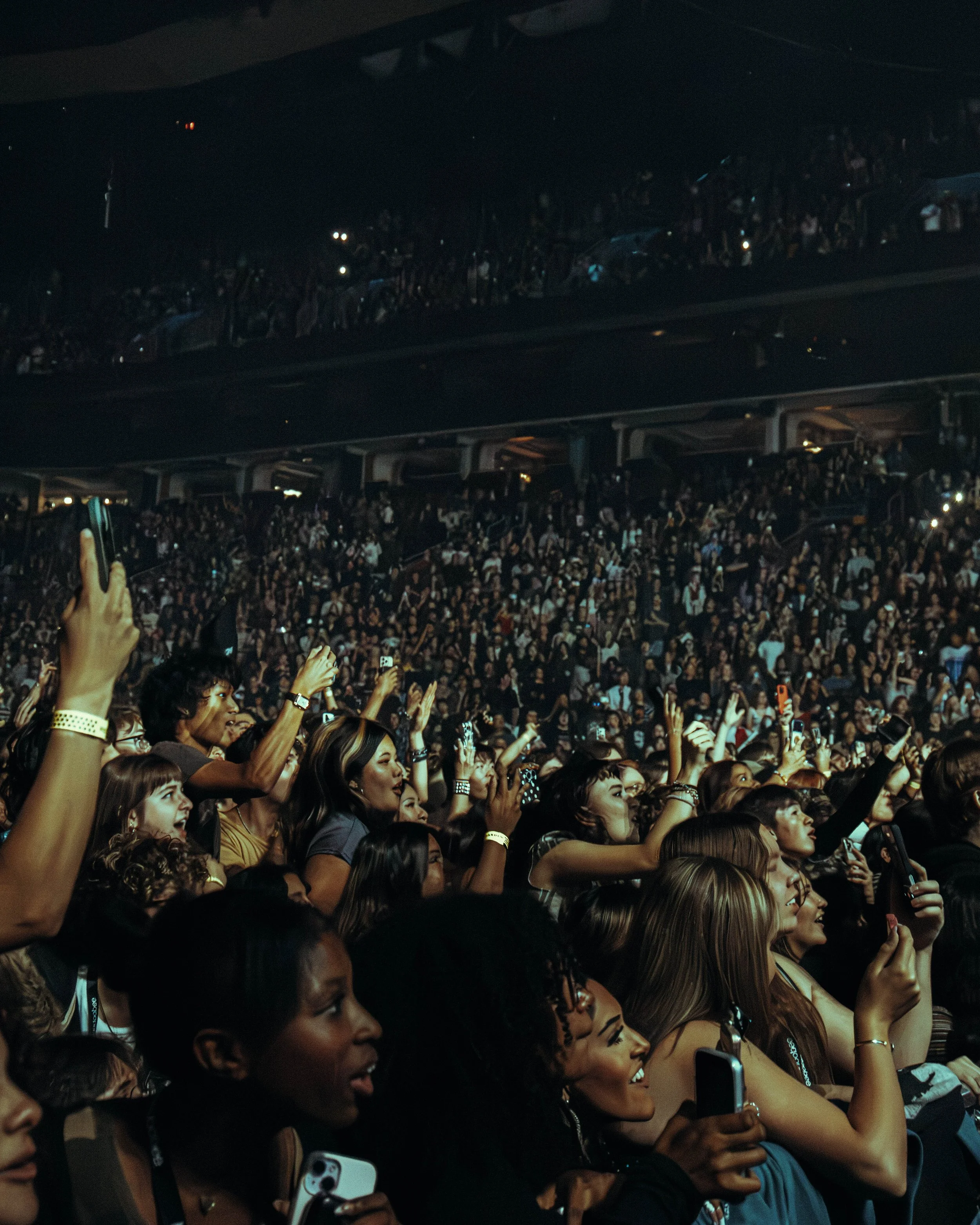 tdgarden_bb_inshow-50.jpg