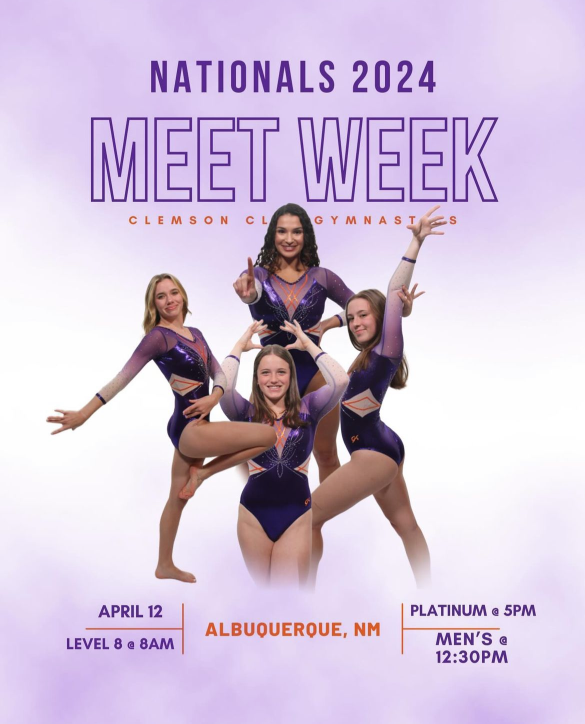 Screenshot 2024-04-08 at 9.38.41 AM.jpeg