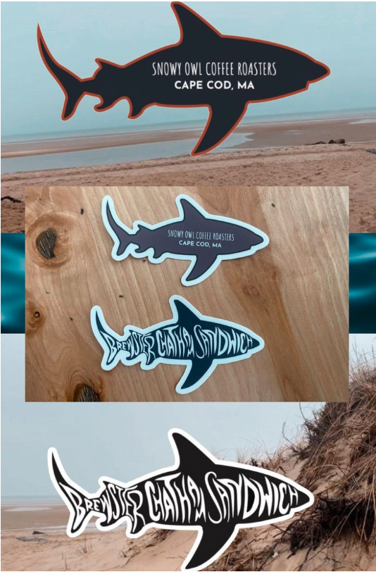 Screen Shot 2024-04-03 at 2.07.50 PM.png