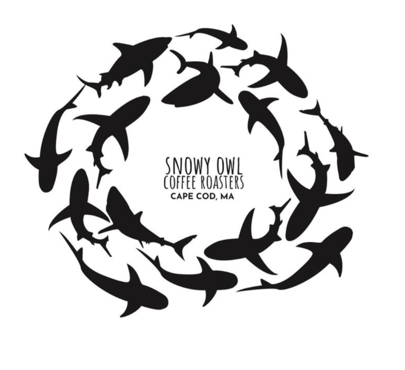 Screen Shot 2024-04-03 at 2.17.45 PM.png