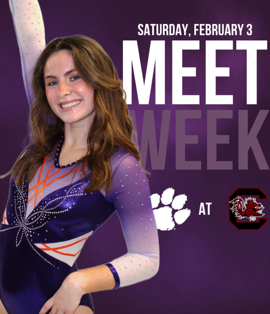 Screen Shot 2024-04-03 at 4.01.57 PM.png