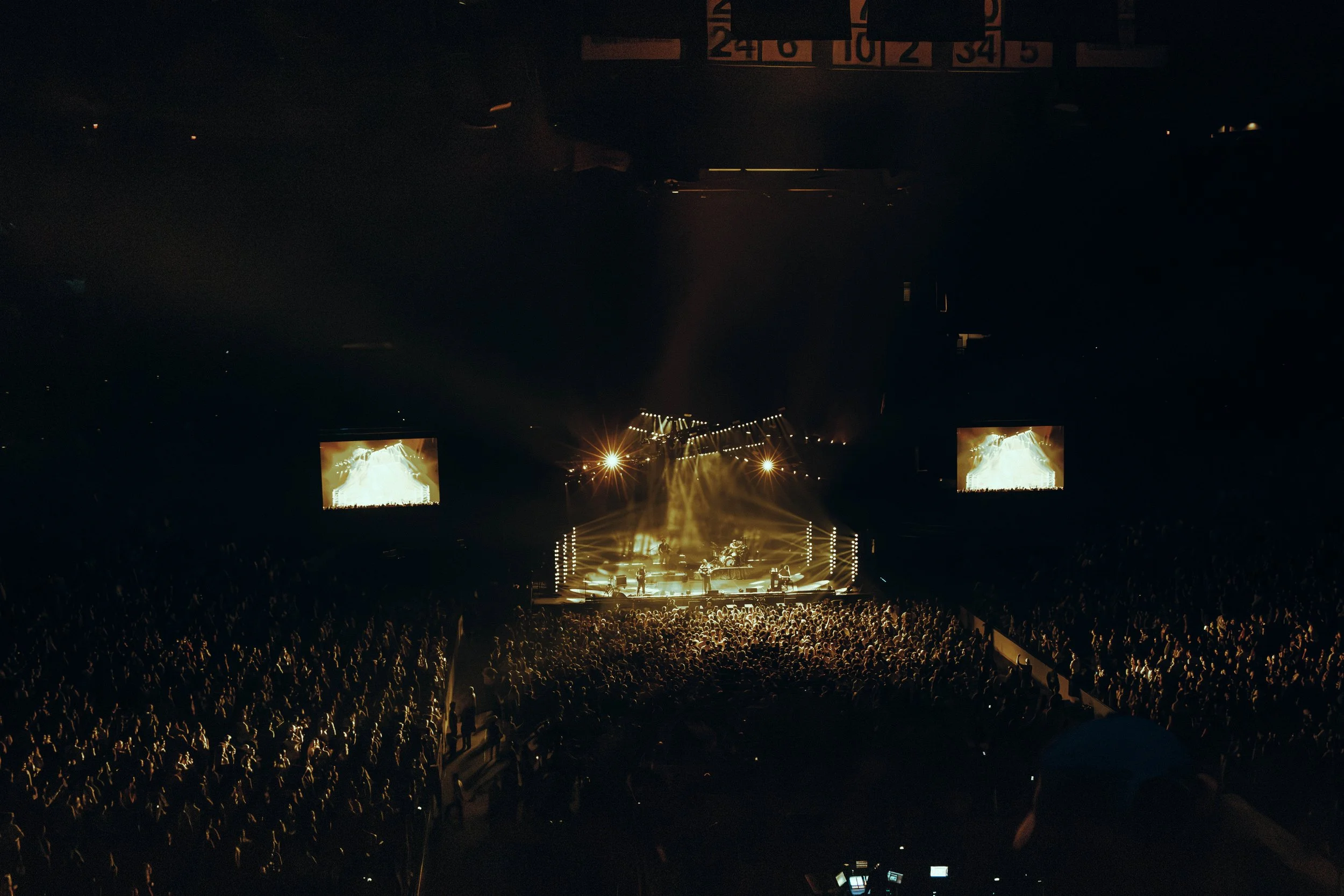 mtjoy_tdgarden_sophvisuals-112.jpg