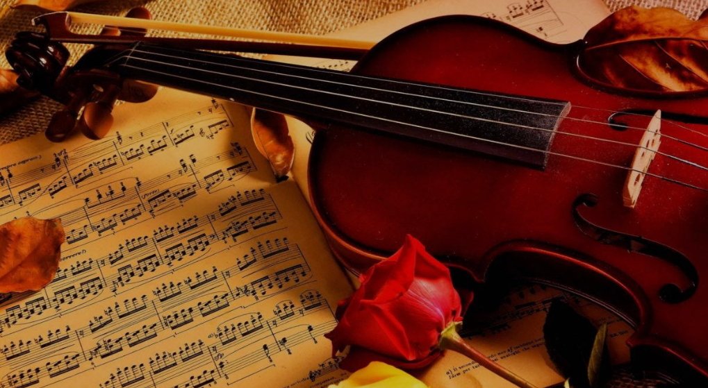 rose violin.jpg