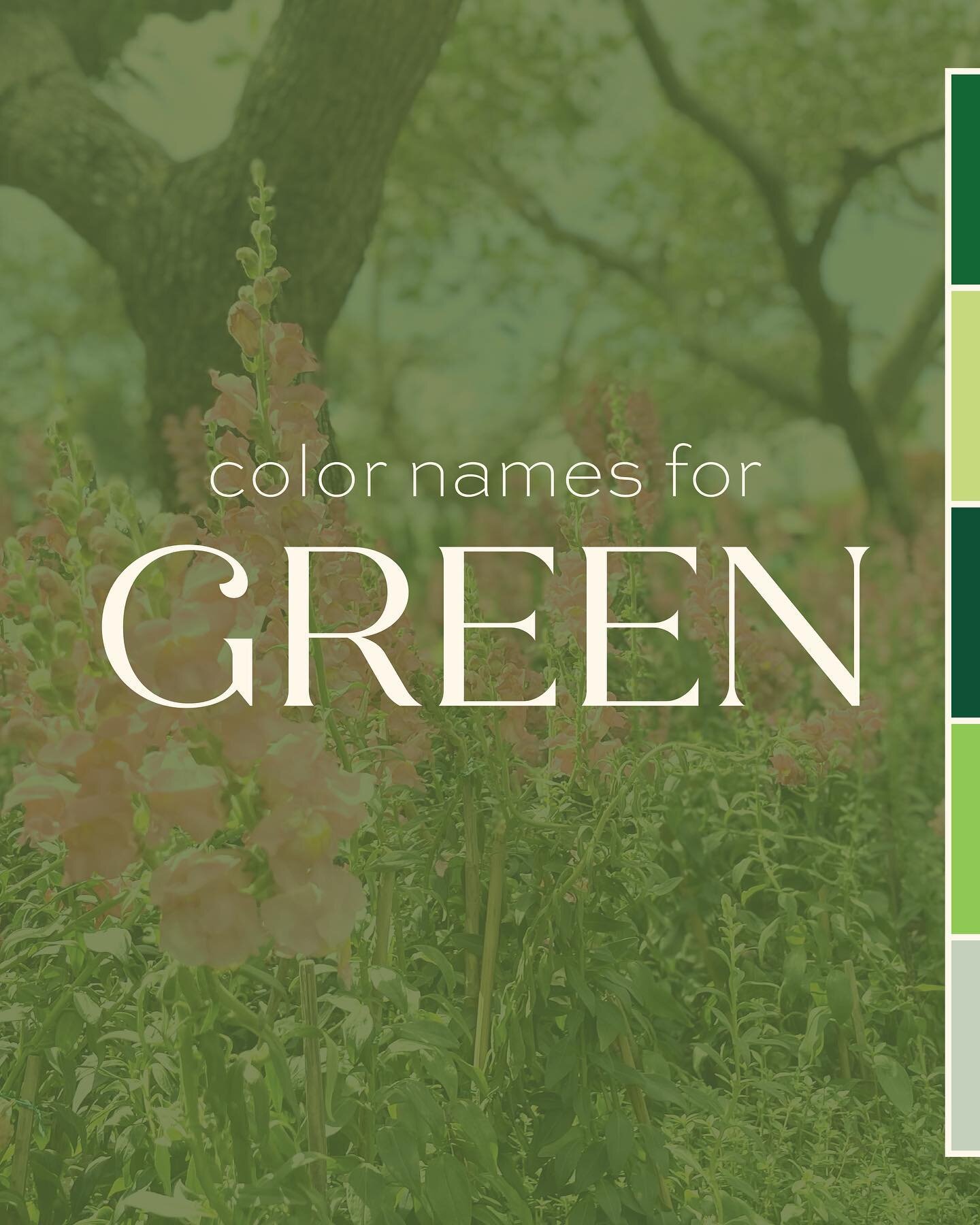 I know it sounds silly, but I LOVE naming colors. giving colors fun names for your project creates a personality and makes it come to life even more.

leave a comment, and let me know which one is your favorite!💚🌱

#graphicdesign #graphicdesigner #