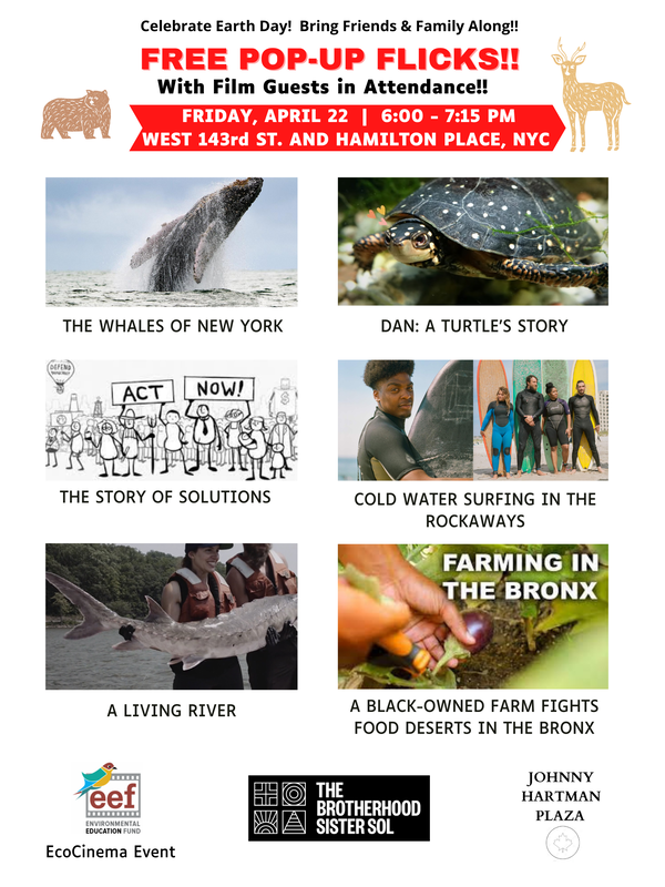 flyer-png-with-story-of-solutions-and-black-owned-farm_1_orig.png