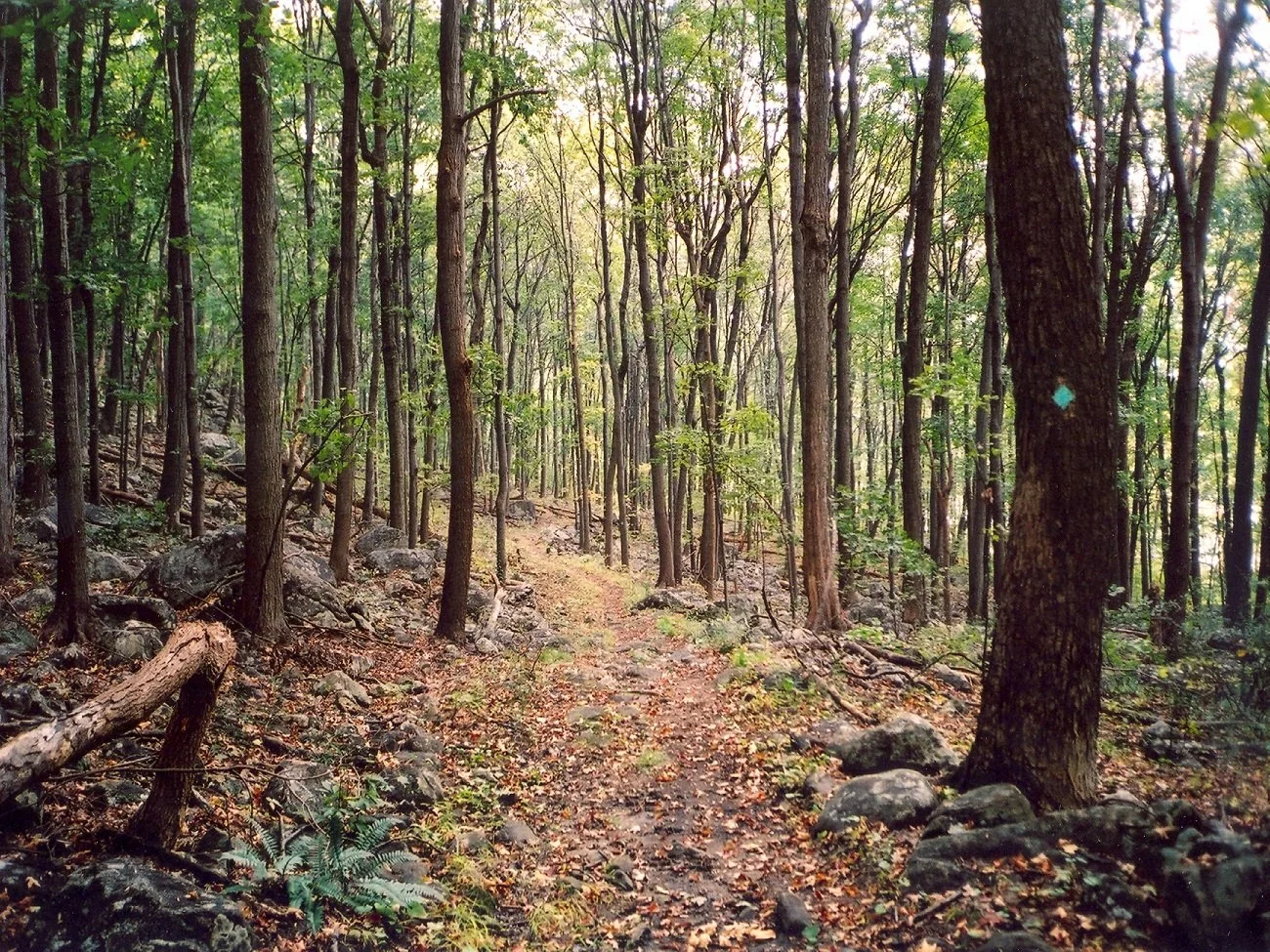 ht-above-ryker-lake.jpg