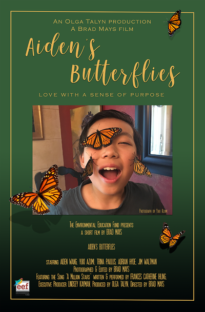 aiden-poster_1.png