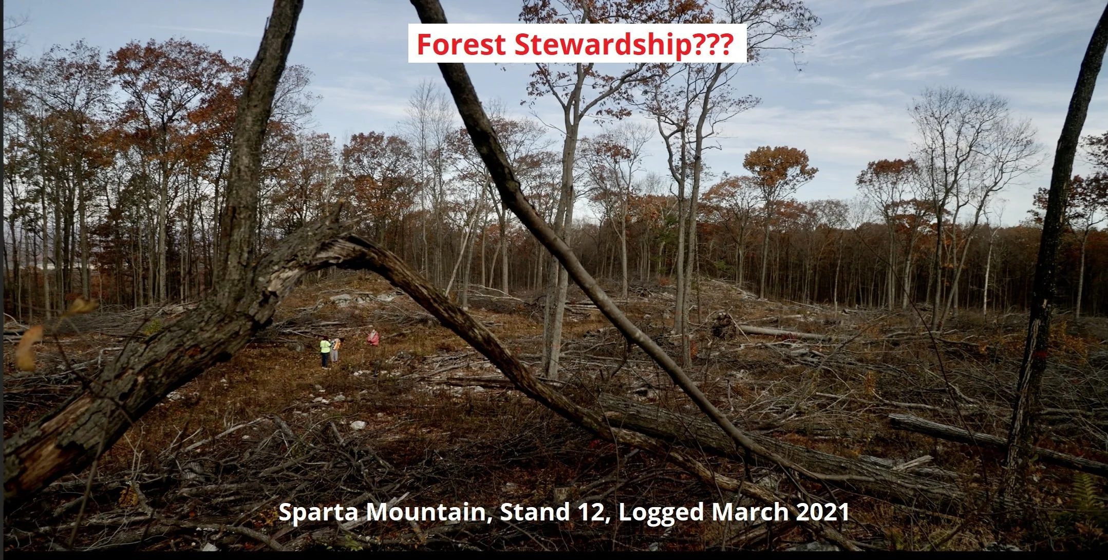 sparta forest stewardship.jpg