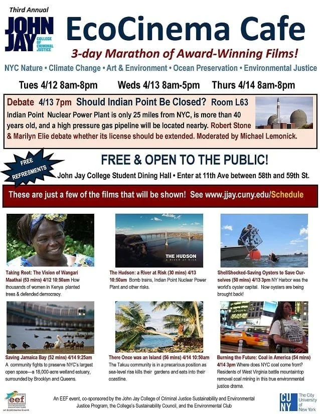 2016ecocinema_orig.jpg