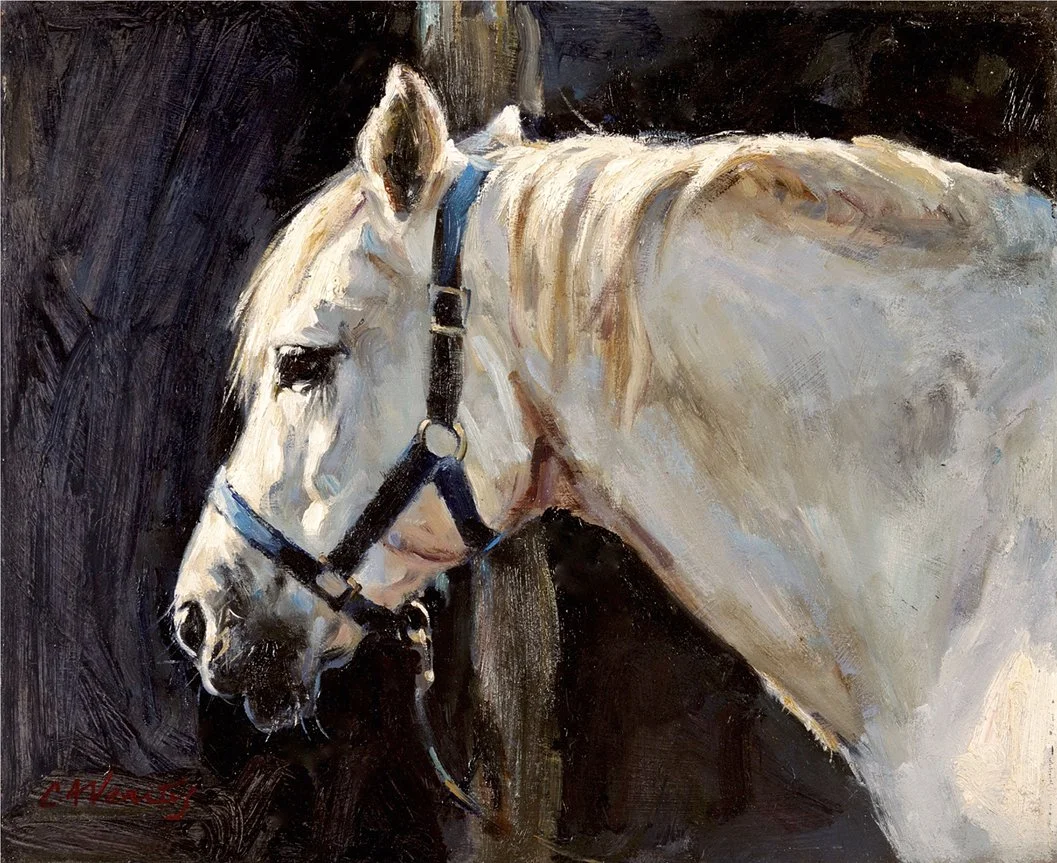 CV013-study in sunlight.jpg