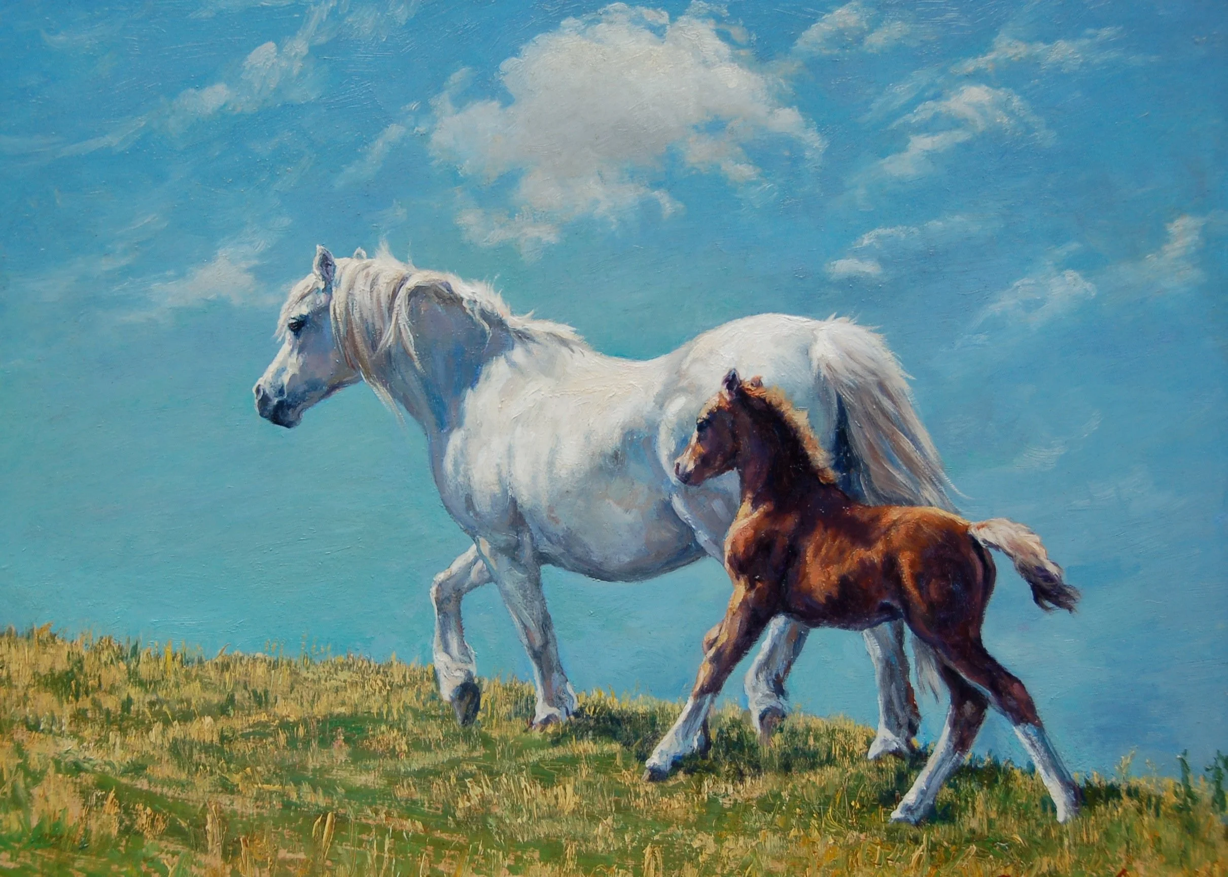 mare and foal.JPG