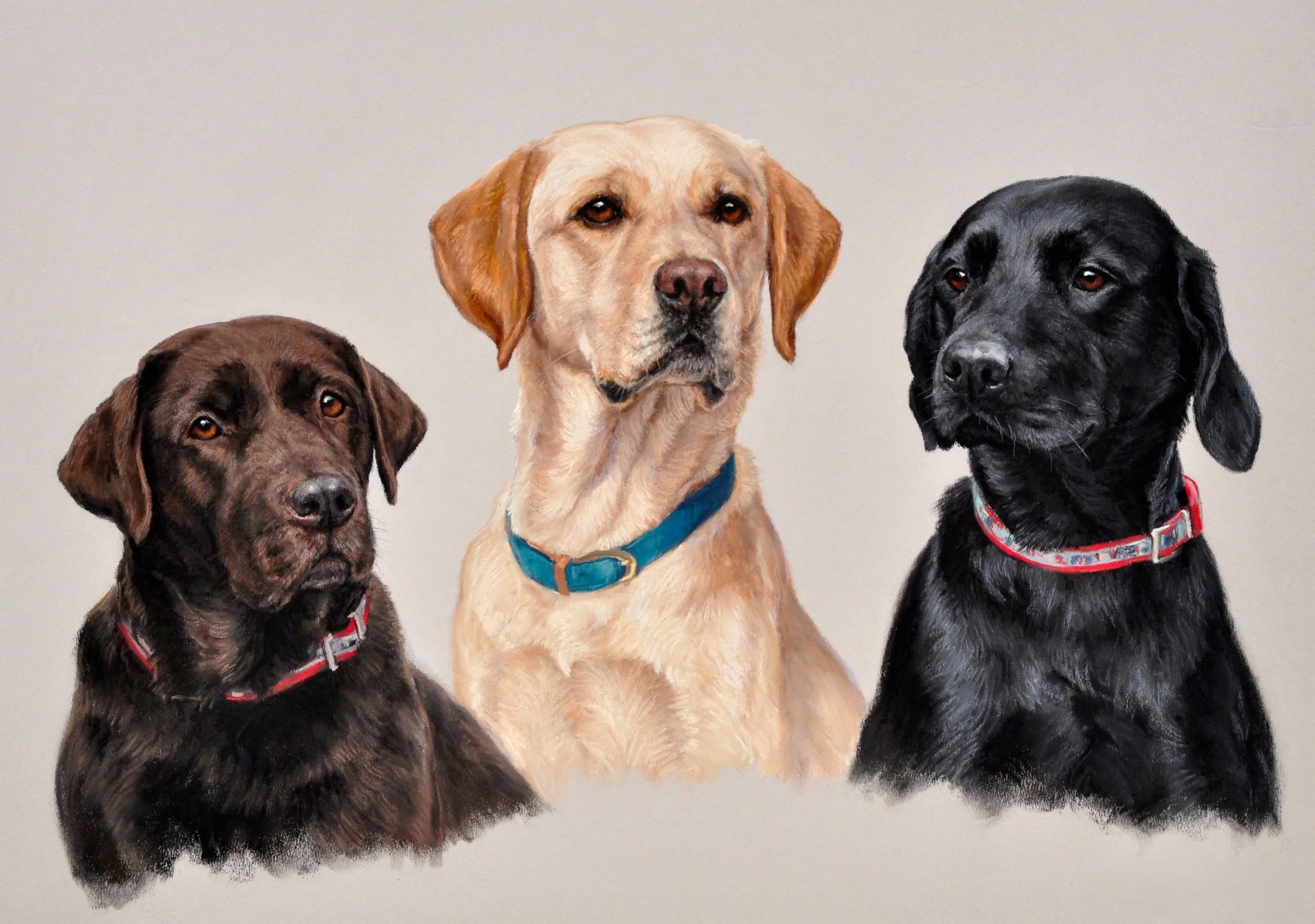 CV024 SIT AND STAY 3.jpg