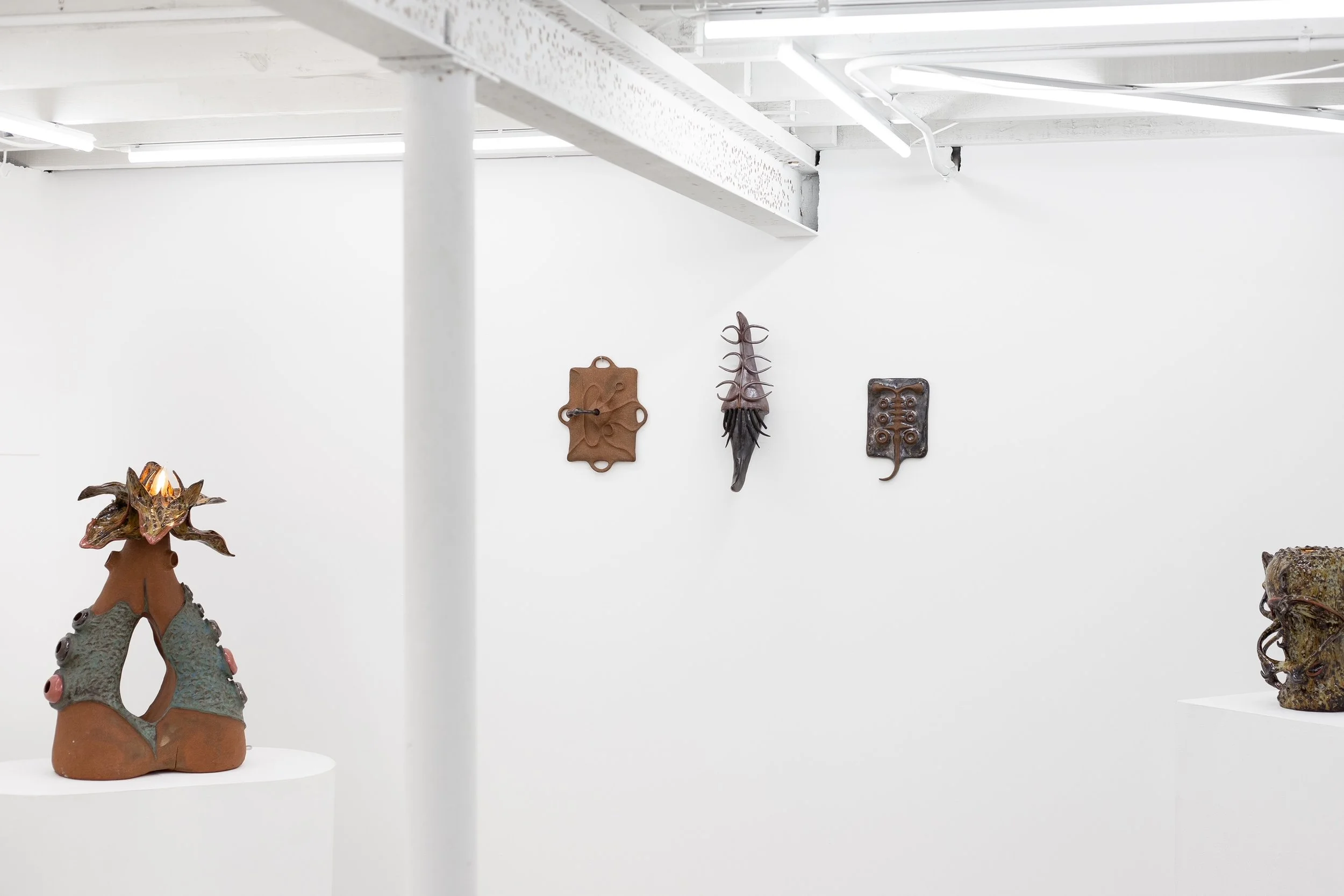 Lusus Naturae on view at Pamplemousse Gallery in Richmond, VA, 2025