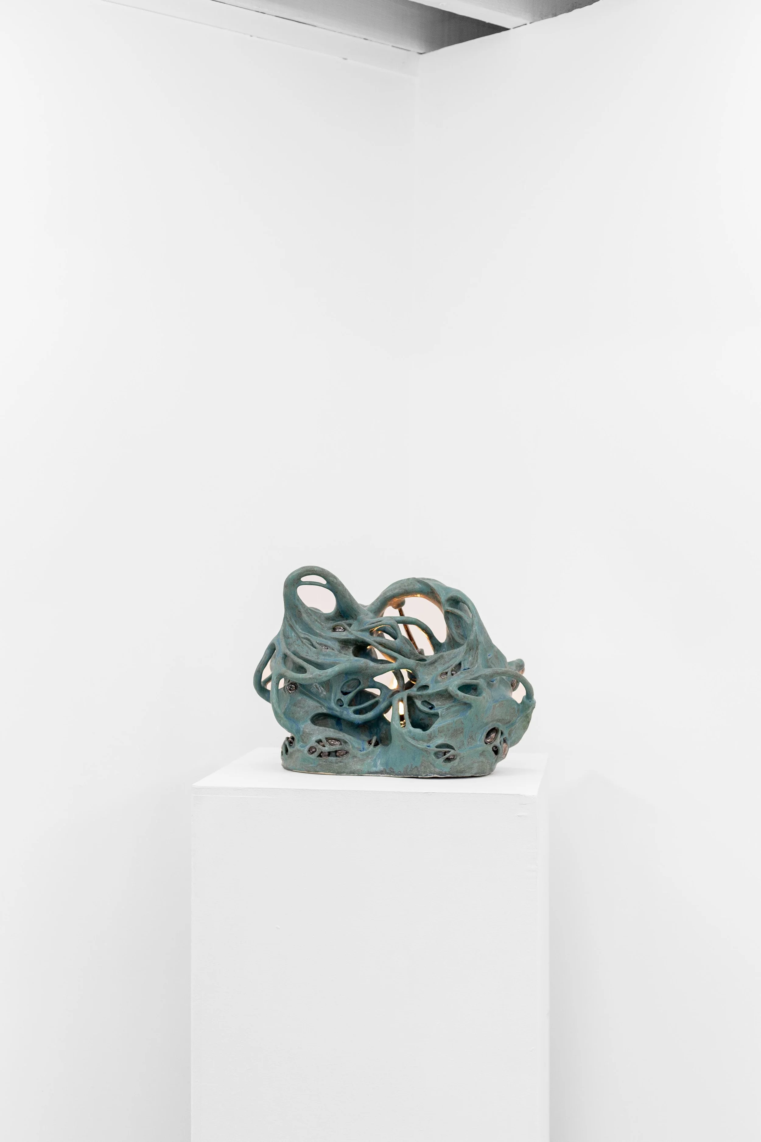 symbiogenesis, 2025
ceramic lamp