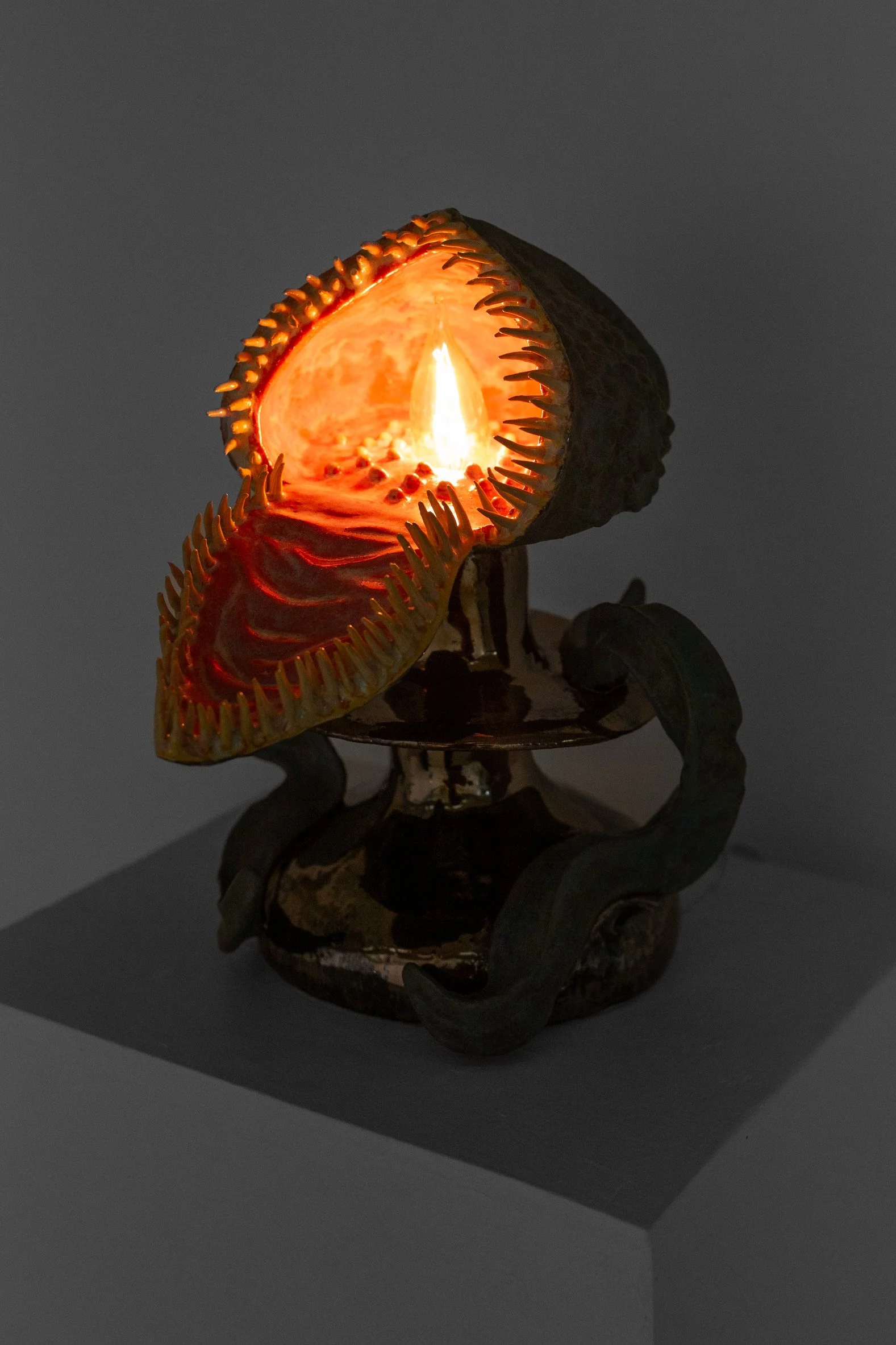 unfurling stapelia, 2025
ceramic lamp