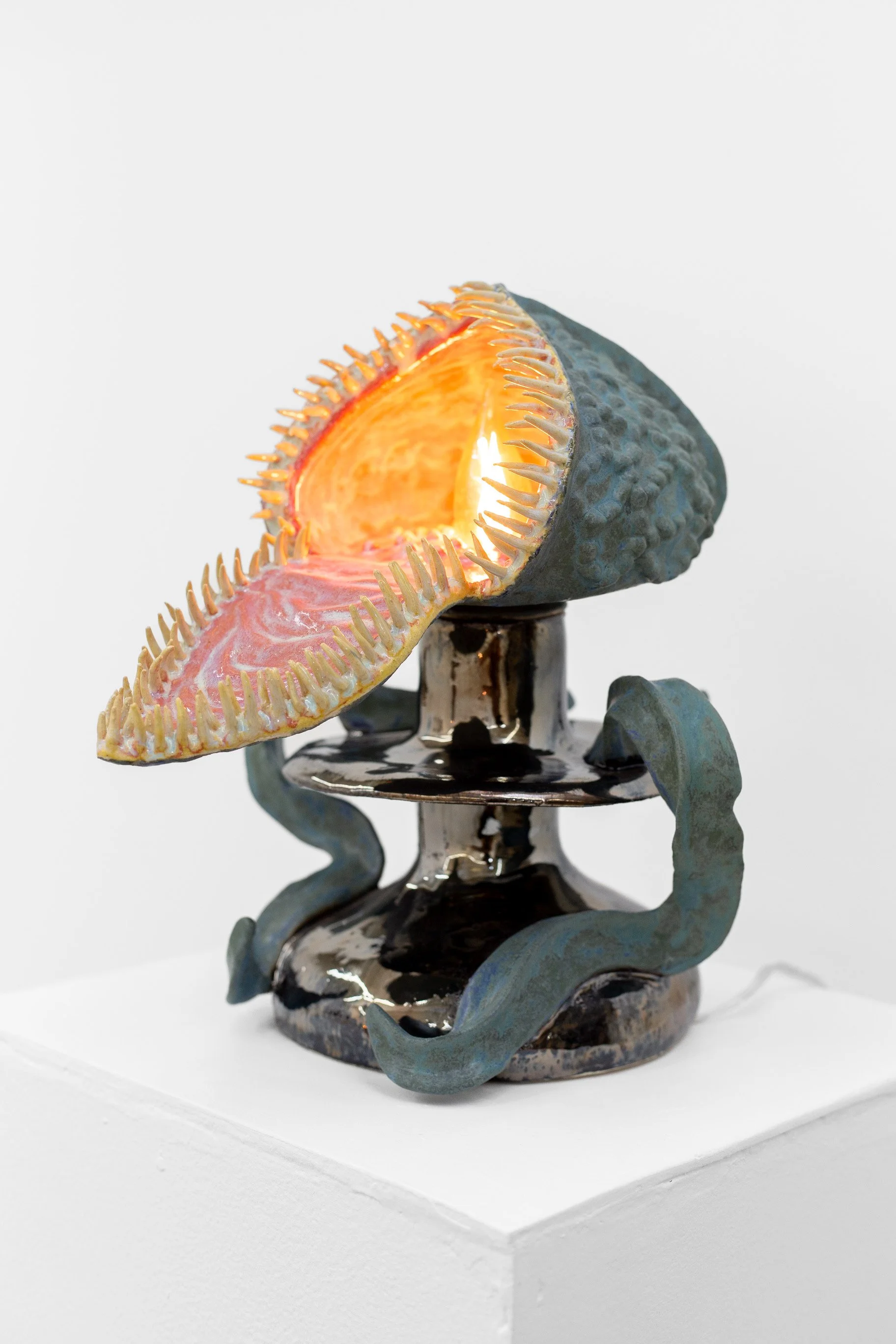 unfurling stapelia, 2025
ceramic lamp