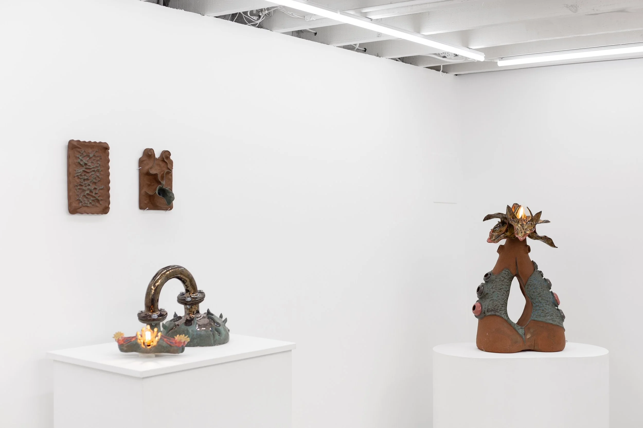 Lusus Naturae on view at Pamplemousse Gallery in Richmond, VA , 2025