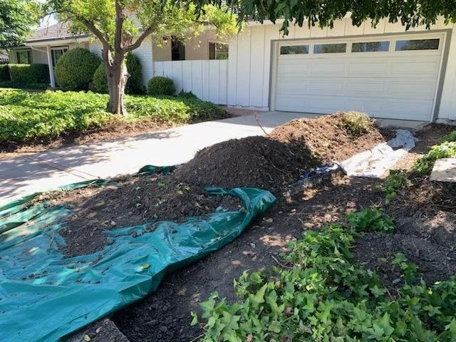 Yard Waste Removal 