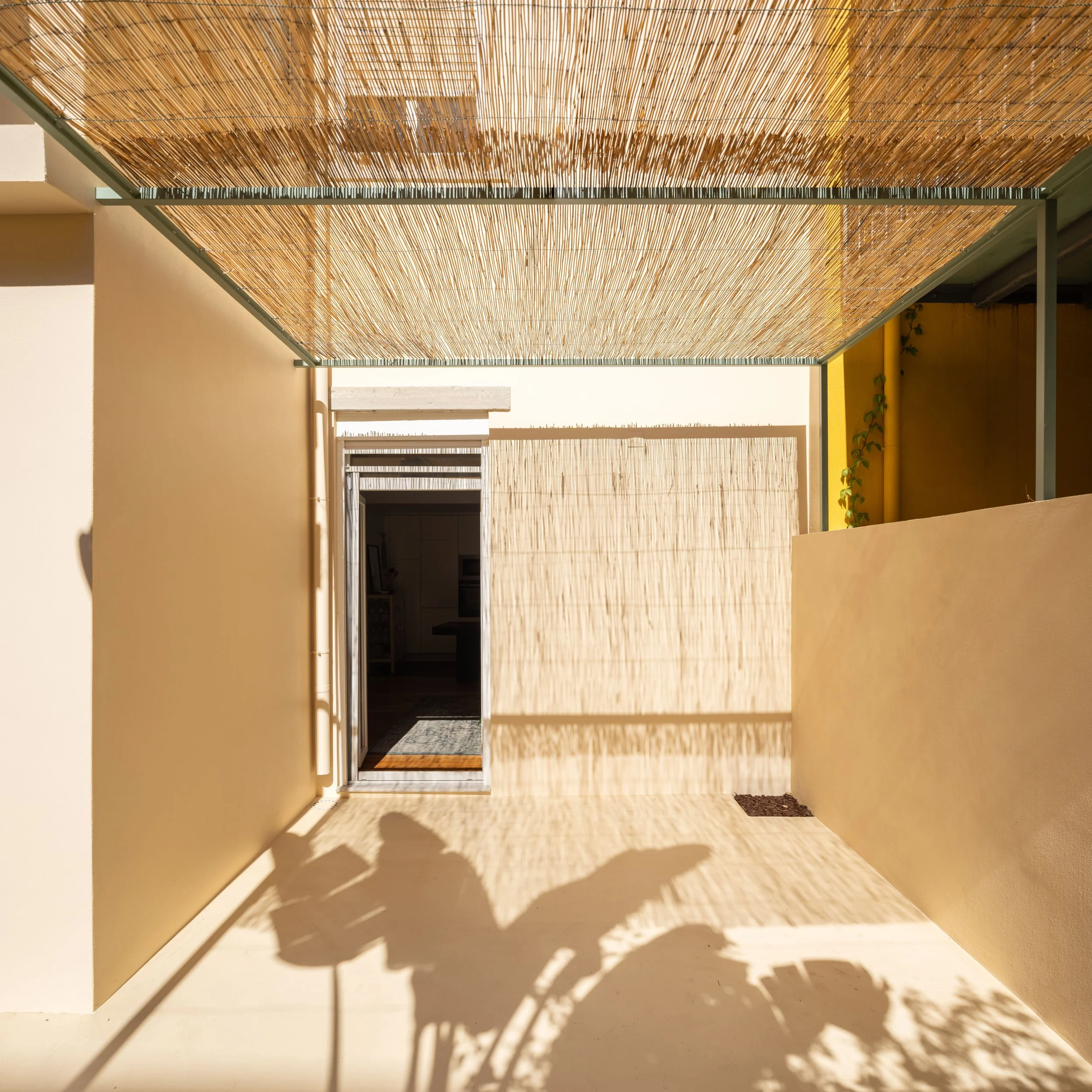 4U8A9245-Pano-Edit.jpg