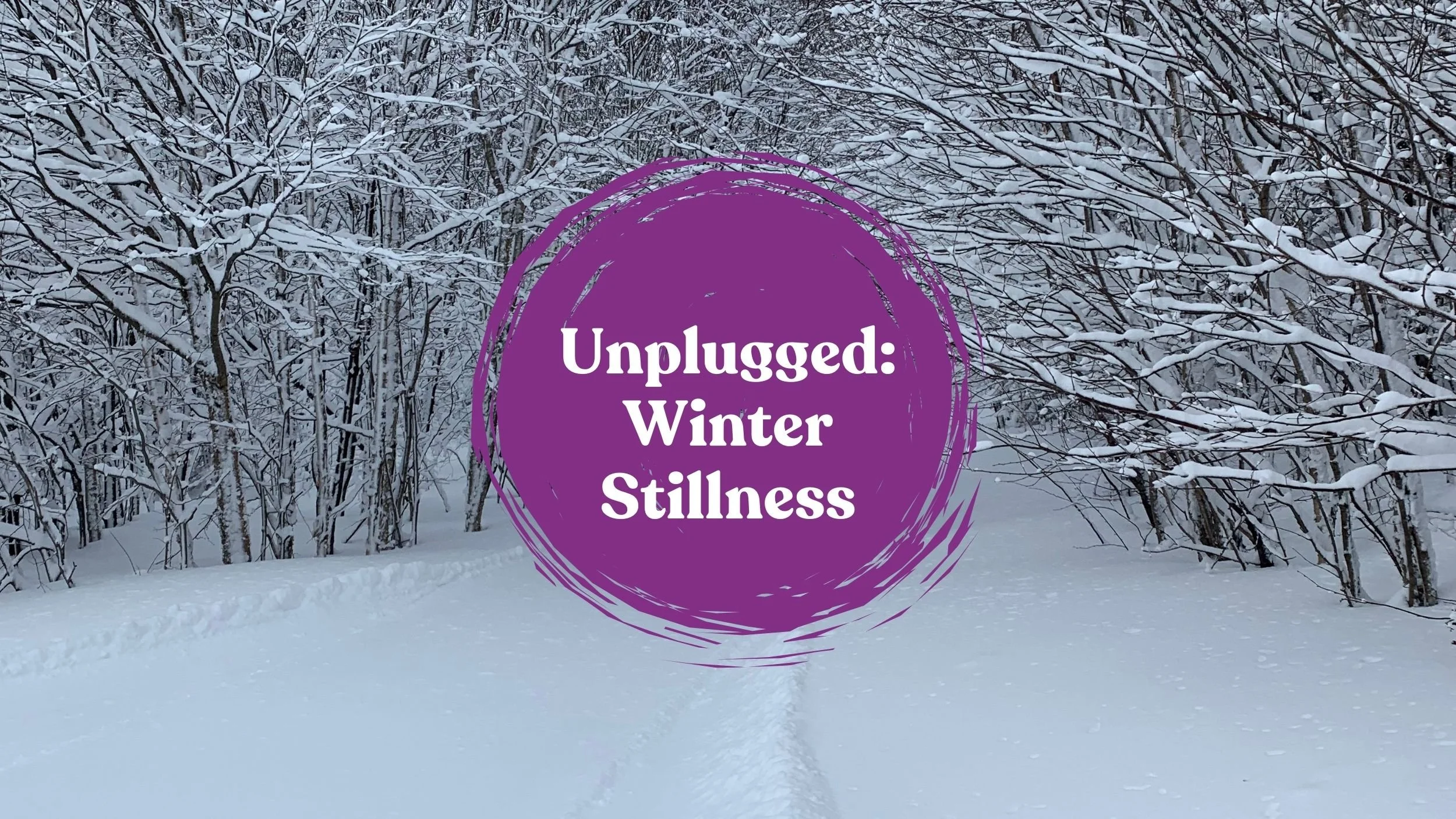 Unplugged: Winter Stillness
