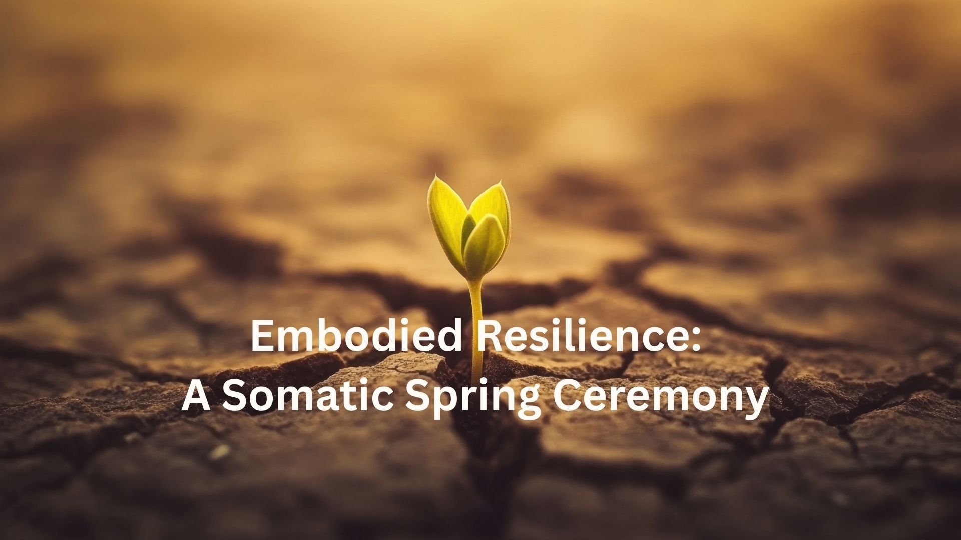Embodied Resilience