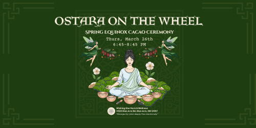Spring Equinox Cacao Ceremony • Ostara on the Wheel