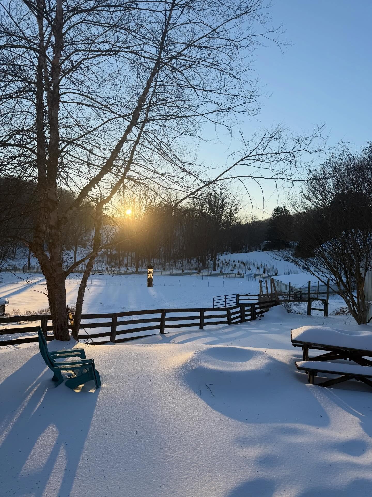 Good morning from the farm!