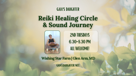 Reiki Healing Circle &amp; Sound Journey