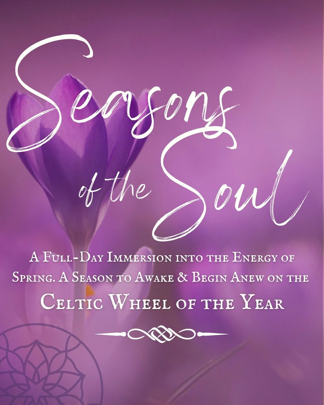 Spring is calling&hellip; and something within you is ready to answer. 🌱

We&rsquo;re so excited to introduce Seasons of the Soul: Awaken to Spring&mdash;the first in a series of four one-day mini retreats at Wishing Star Farm, each designed to alig