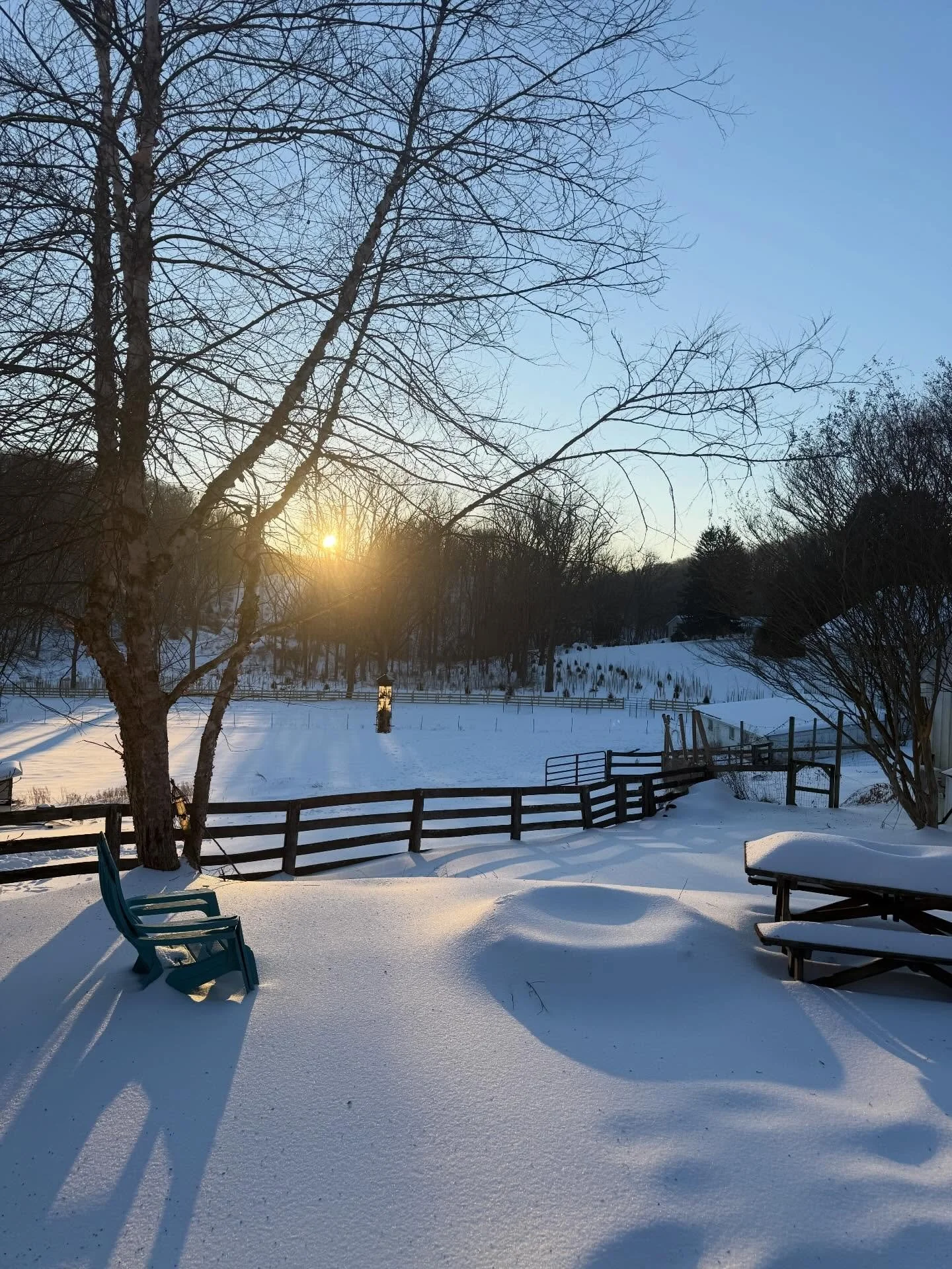 Good morning from the farm!