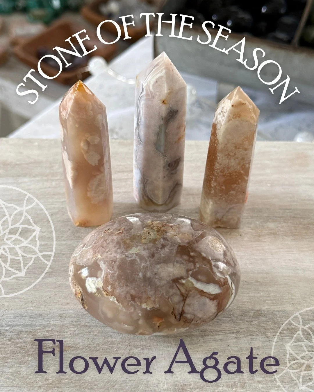 This Saturday at the Serendipity Shoppe (11am&ndash;3pm), we&rsquo;re celebrating the soft, blossoming energy of Flower Agate with a special enter-to-win giveaway! Stop by to enter for a chance to win your choice of a Flower Agate tower or palm stone