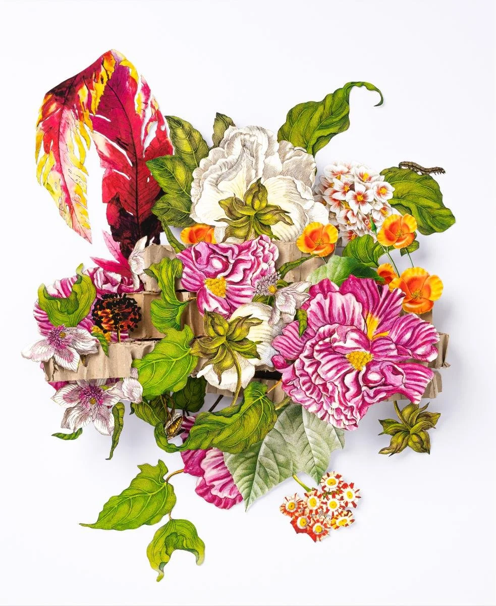 KimBreitArt - 2026ModernCraftMarketApplication - 738282 - 2486491.jpeg