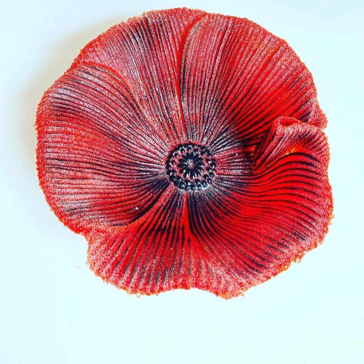 KanchbyKolika - 2026ModernCraftMarketApplication - 821946 - 2794186.jpg