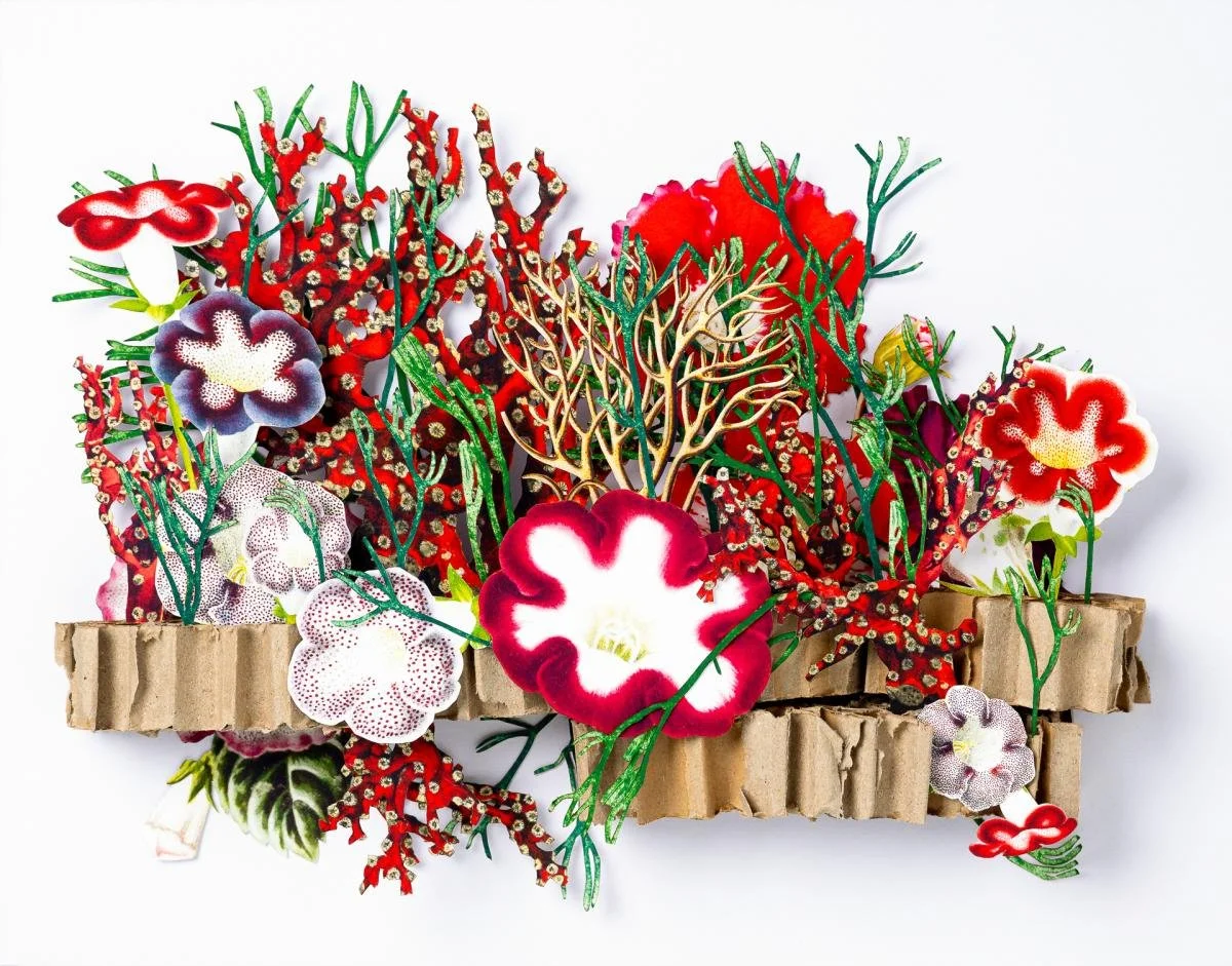 KimBreitArt - 2026ModernCraftMarketApplication - 738282 - 2486486.jpeg