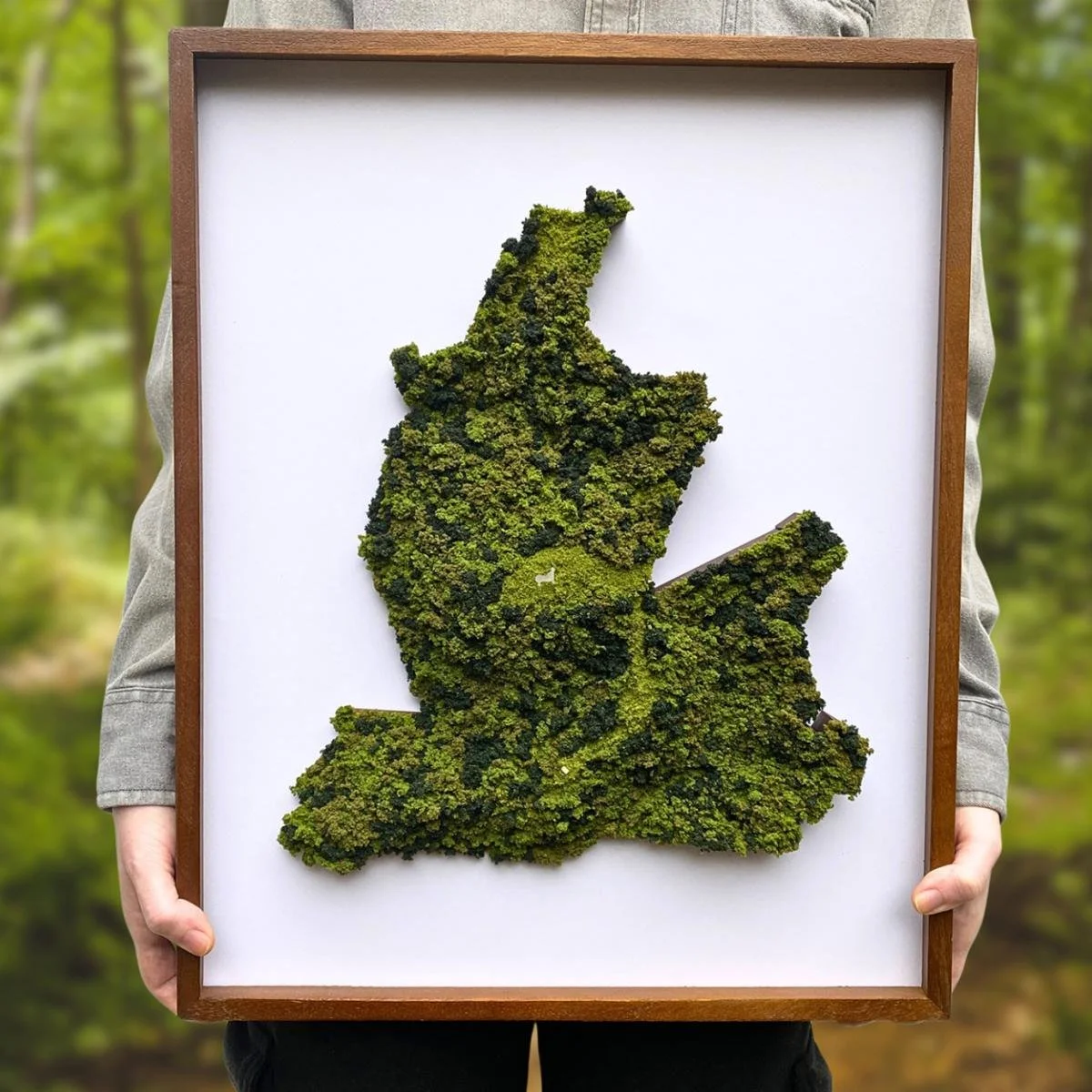 Squirrel Hill Design and Craft