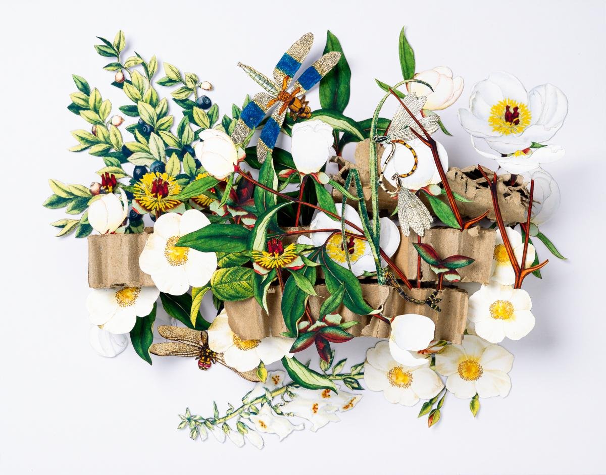 KimBreitArt - 2026ModernCraftMarketApplication - 738282 - 2486489.jpeg