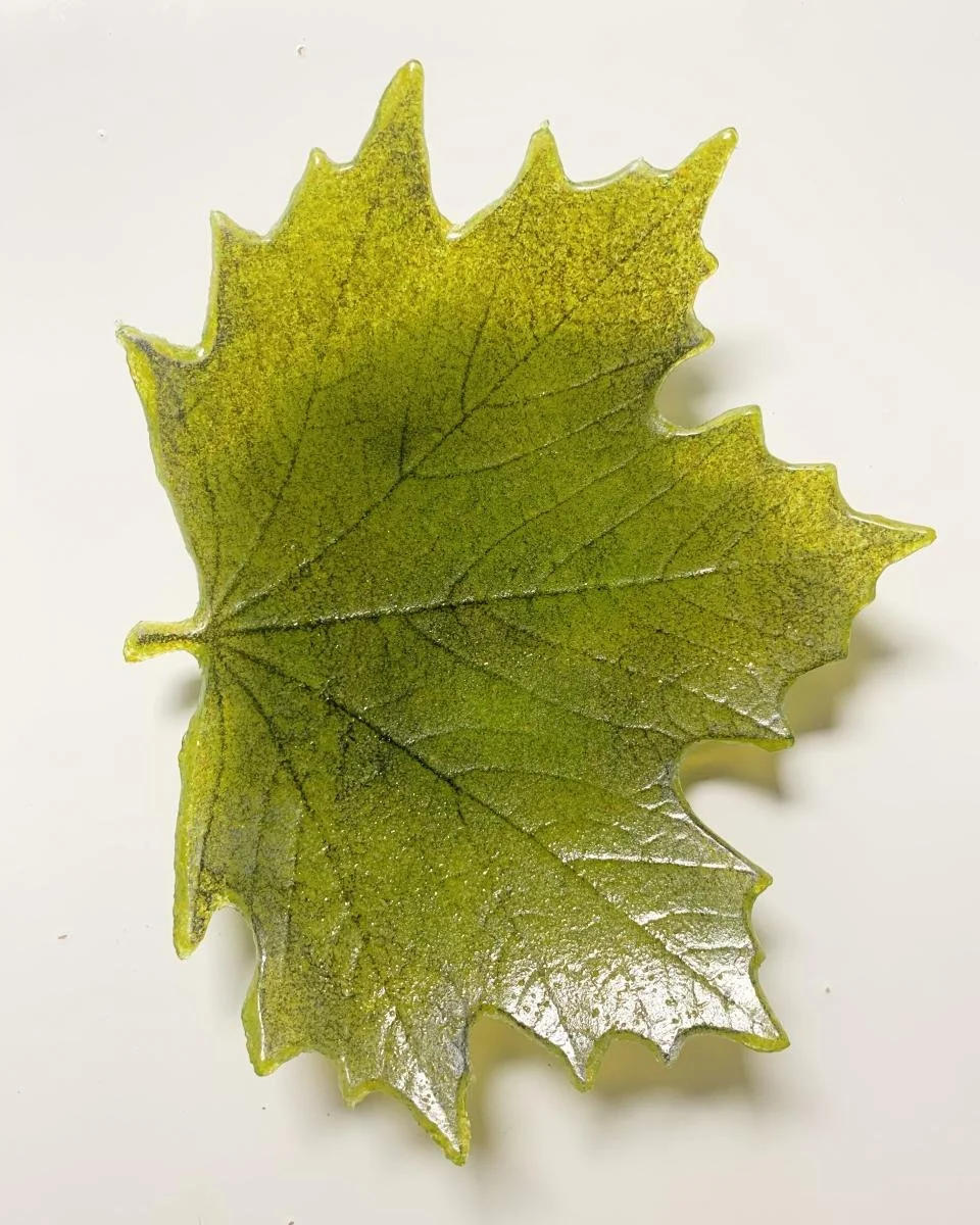 KanchbyKolika - 2026ModernCraftMarketApplication - 821946 - 2794188.jpg