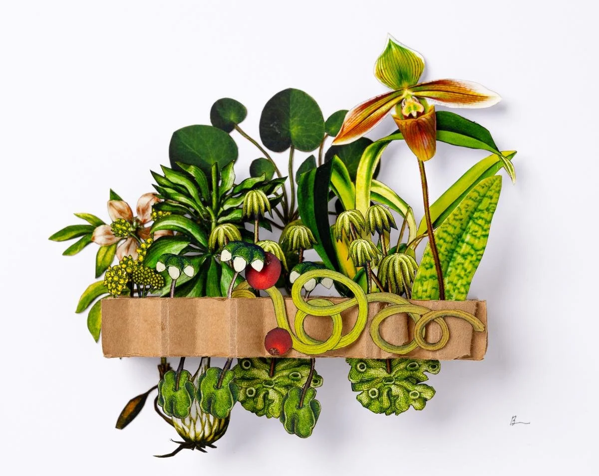 KimBreitArt - 2026ModernCraftMarketApplication - 738282 - 2486492.jpeg