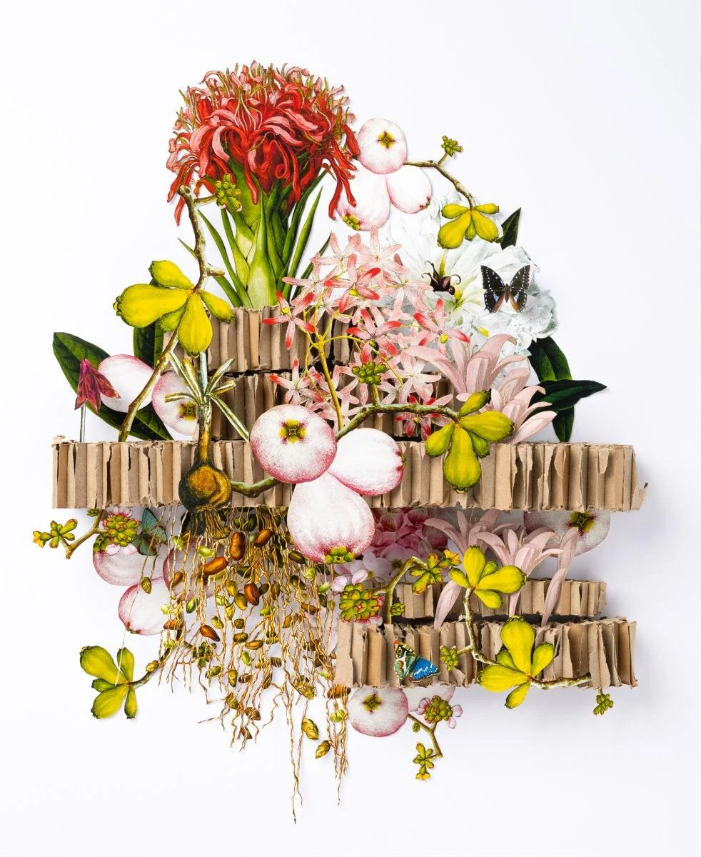 KimBreitArt - 2026ModernCraftMarketApplication - 738282 - 2486487.jpeg