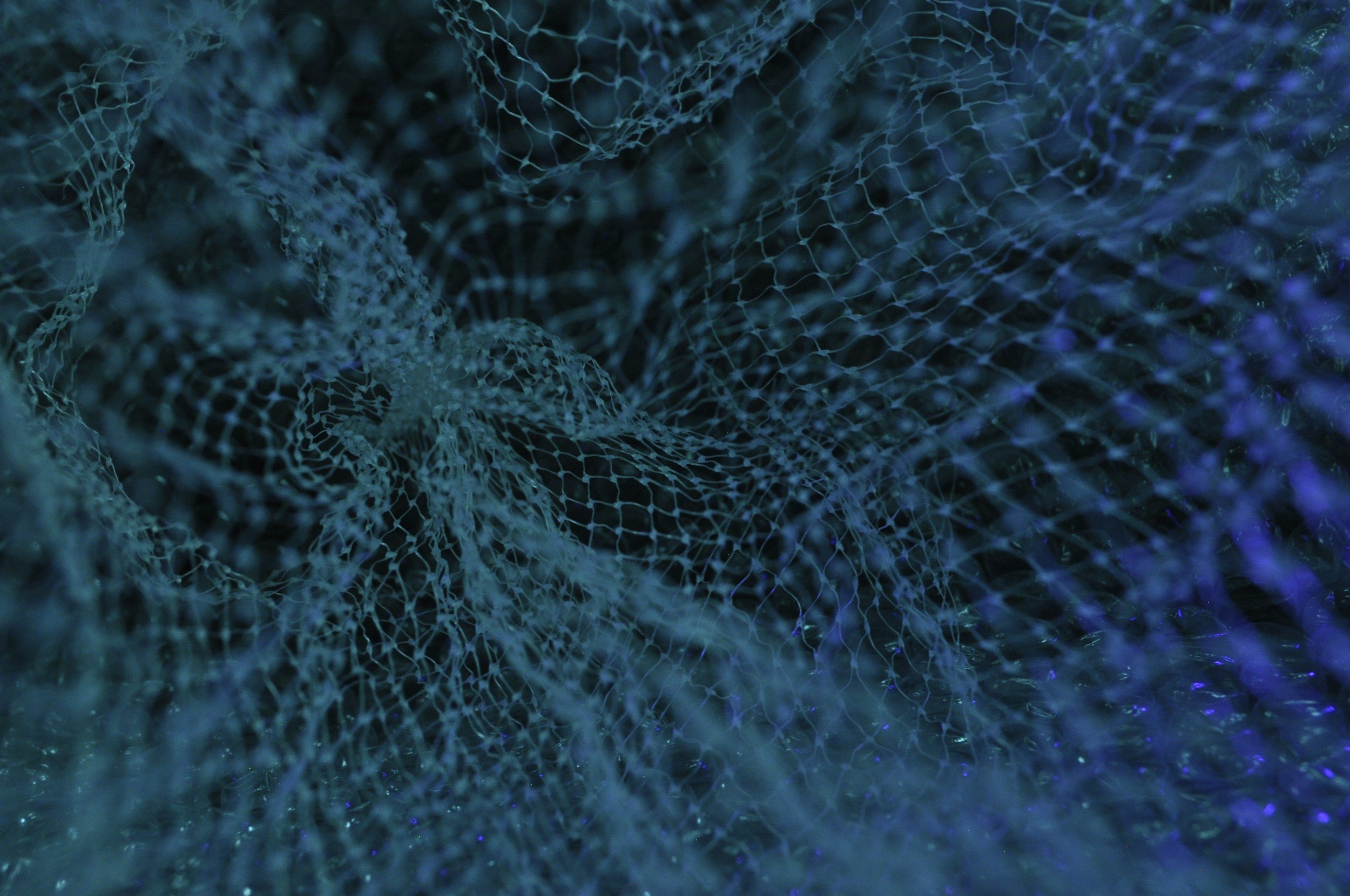 MiCA rejection rates bring forthcoming UK crypto regime into sharp focus
